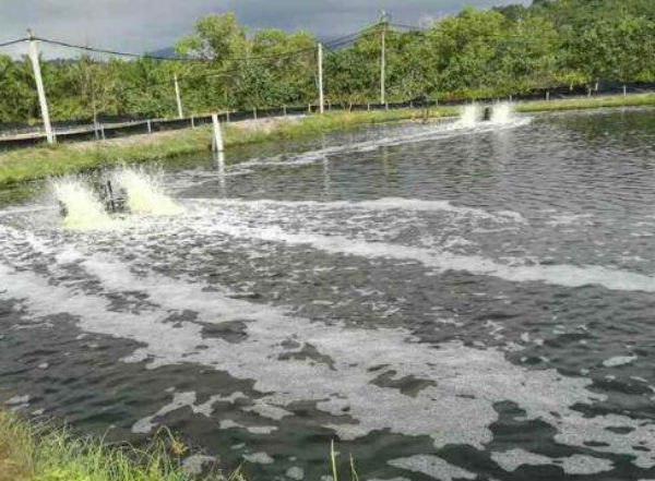 氧化沟活性污泥法