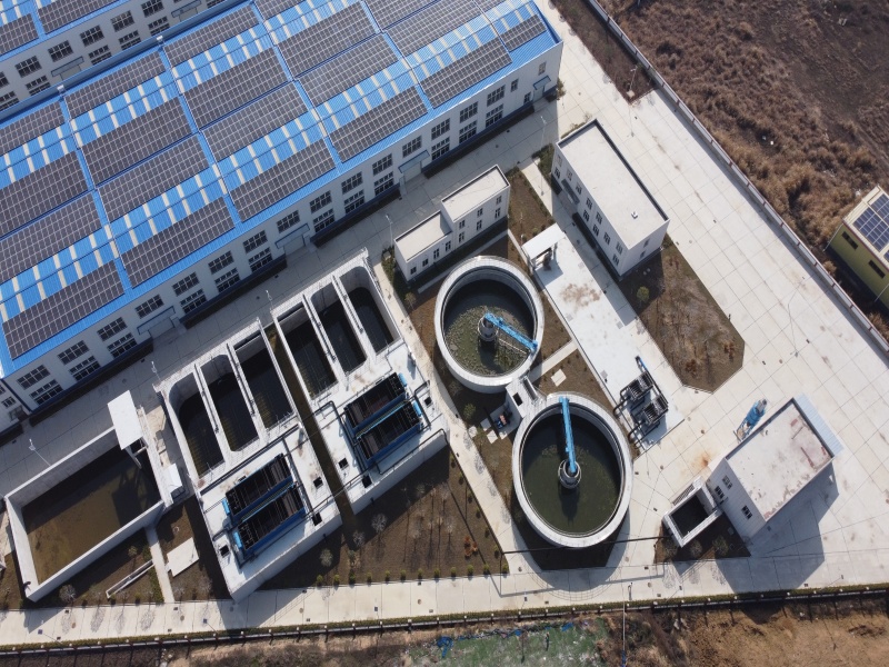 DJI_0976.JPG
